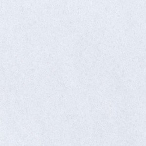  Bianco Neve