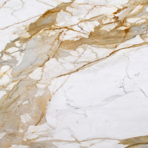  Calacatta Macchia Vecchia Honed Premium Marbl