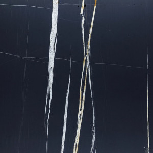  Calacatta Sahara Noir Stone Basyx Marble