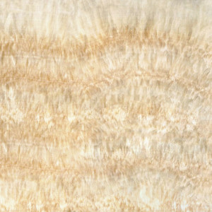  Honey Onyx
