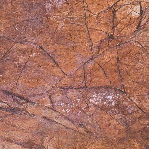 Rainforest Brown