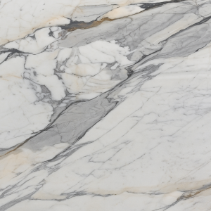  Calacatta Picasso Honed Premium Stone Basyx M